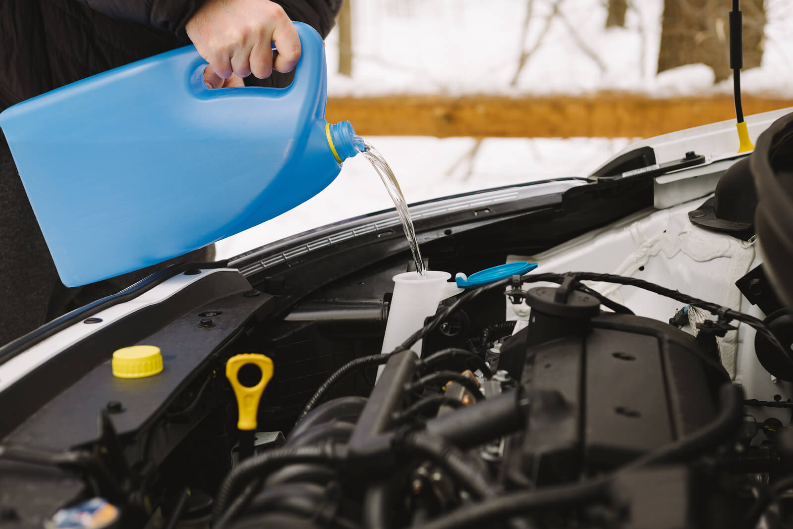 car fluid check Longmont