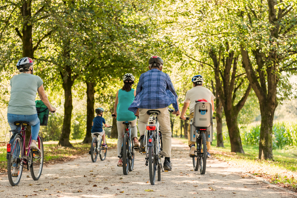 bicycle-insurance-in-shape