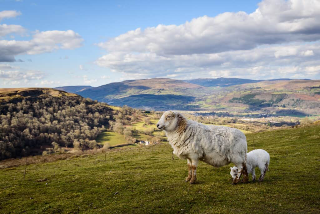 brecon becons